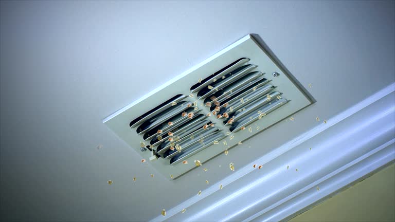 Best Best Air Duct Cleaning Company  in Mount Pulaski, IL