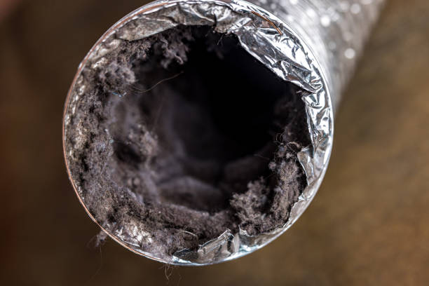 Best Affordable Duct Cleaning Services  in Mount Pulaski, IL