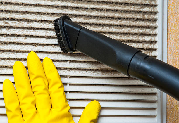 Best Air Duct Sanitizing Services  in Mount Pulaski, IL